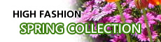 Spring Jewelry