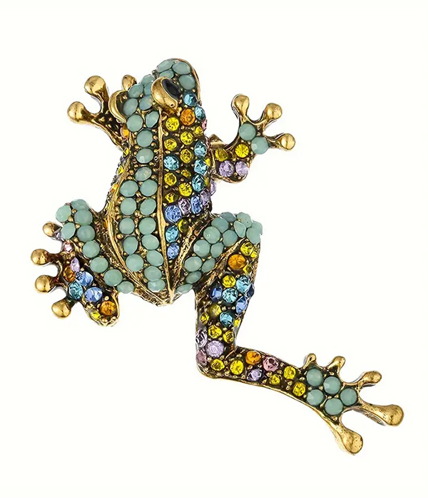 Frog brooch