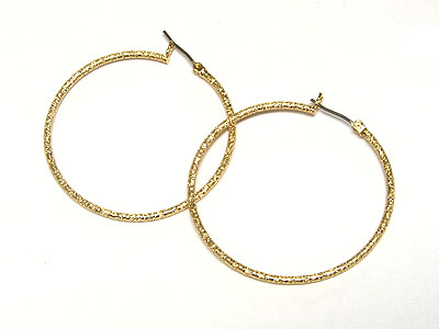 Glittering metal hoop earring - hoops