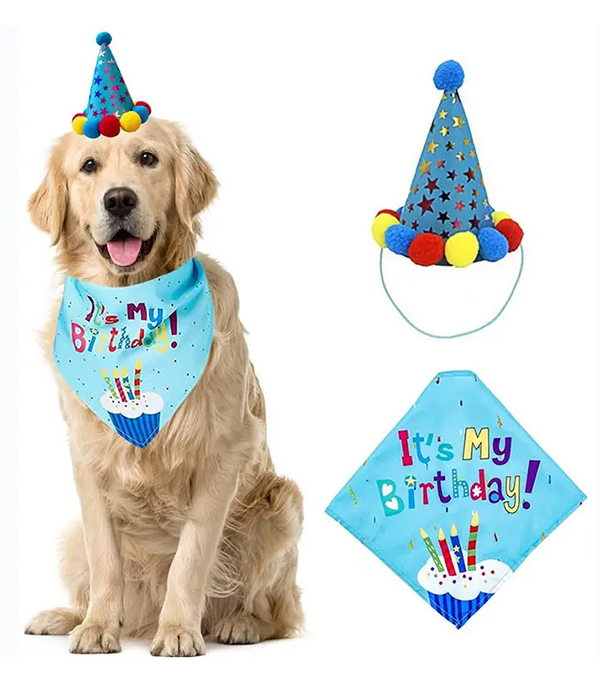 Birthday hat and scarf for dog