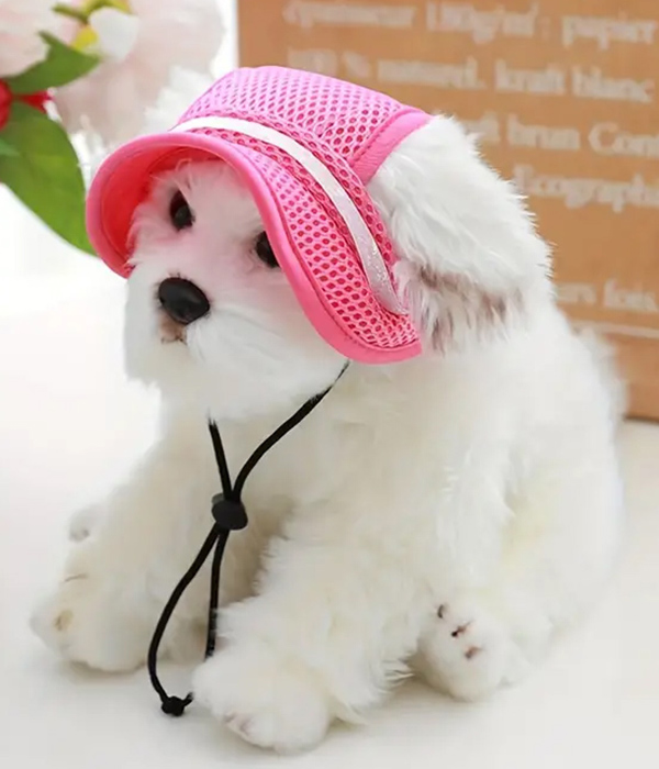 Sun protection hat for dog