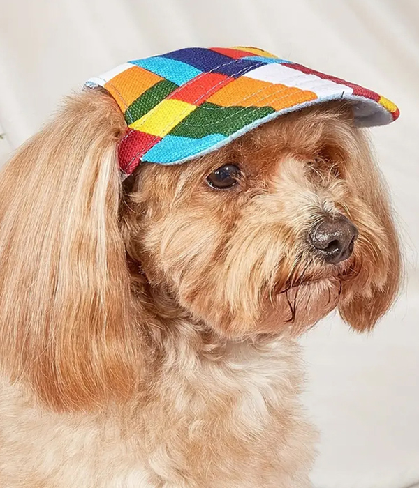 Canvas hat for dog