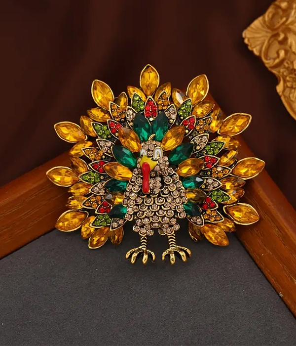 Thanksgiving theme turkey brooch